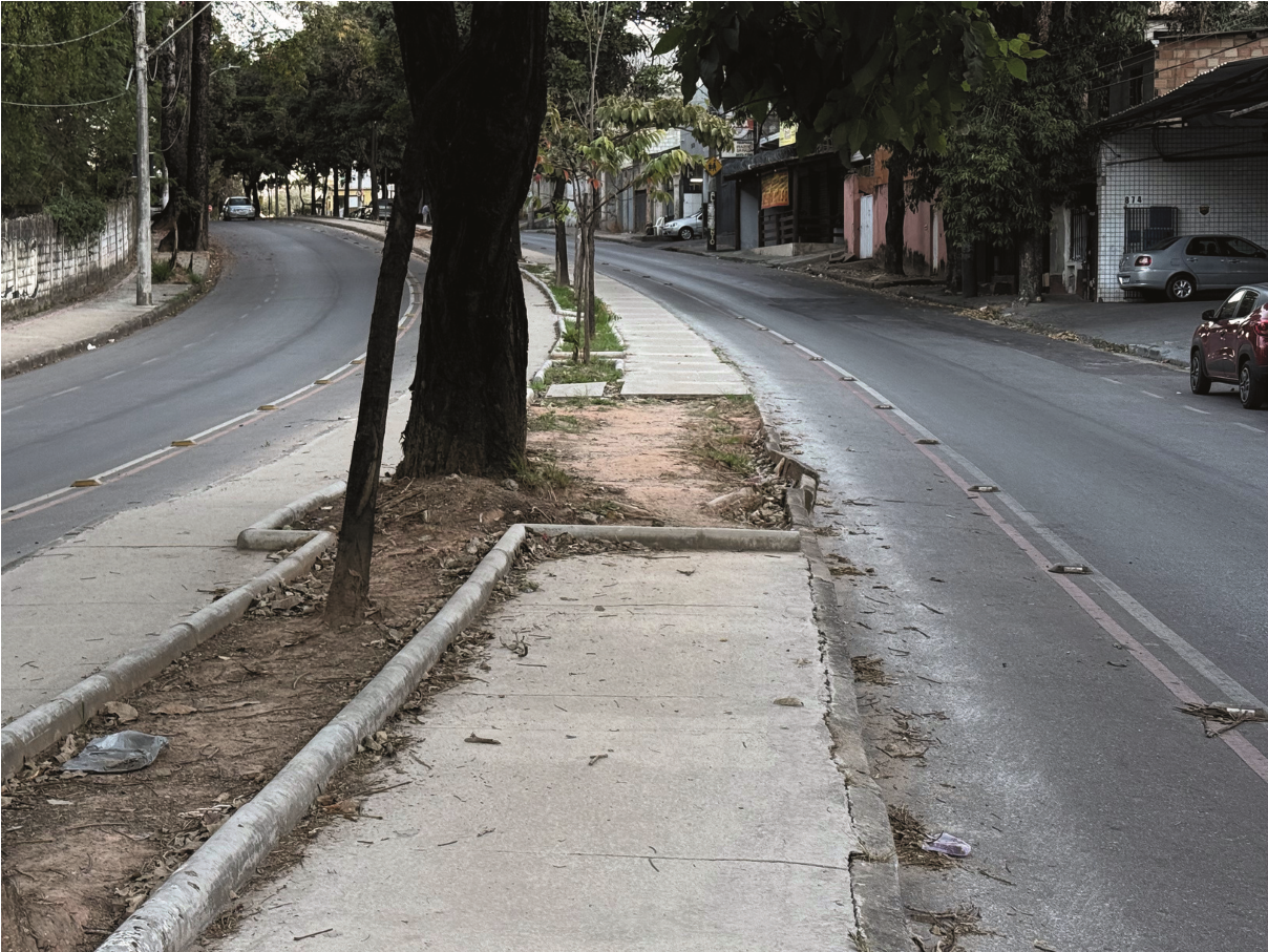 Canteiro central da Avenida Amintas Jacques de Morais